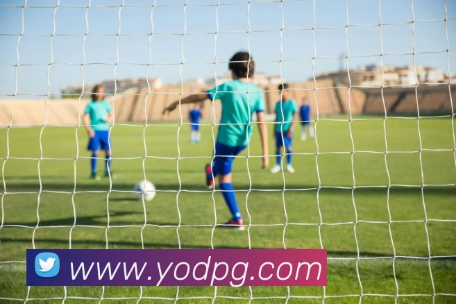 nba投注网站APP 封面图